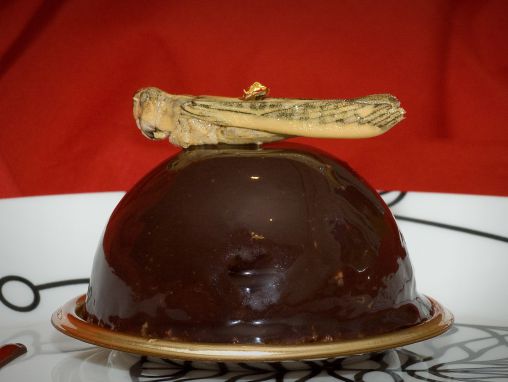 マルセル・ディック：虫を食べよう