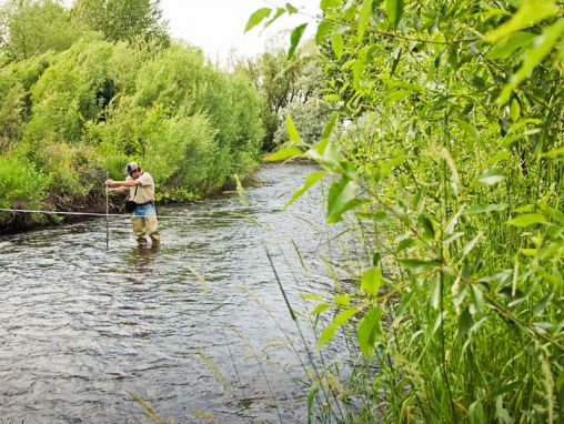Rob Harmon: ¿Cómo puede el mercado mantener los arroyos fluyendo?