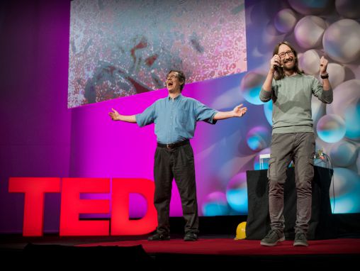 西蒙尼·畢昂柯；湯姆·齊墨曼: 一滴水中的美好生命世界