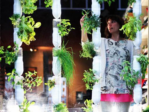 Click to play Britta Rilley: Um jardim em meu apartamento
