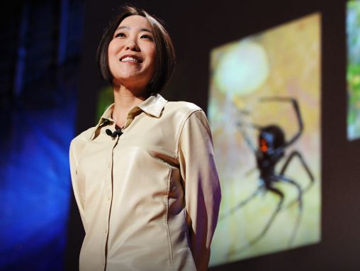 Click to play Cheryl Hayashi: O esplendor da seda da aranha
