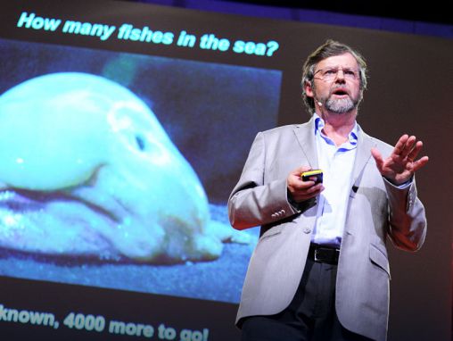 ポール・スネルグローブ: 海洋生物調査