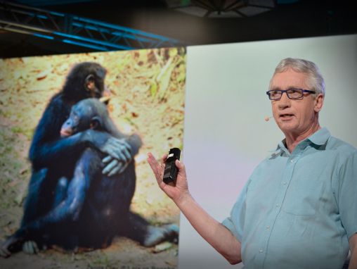 Click to play Frans de Waal: Zaskakujące strategie samców alfa