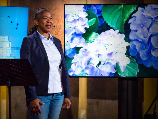 tobacco brown: Lo que la jardinería me enseñó sobre la vida