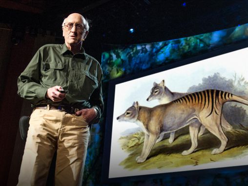 Click to play Stewart Brand: Nesli tükenmiş türleri yeniden canlandırma ufukta. Buna hazır mısınız?