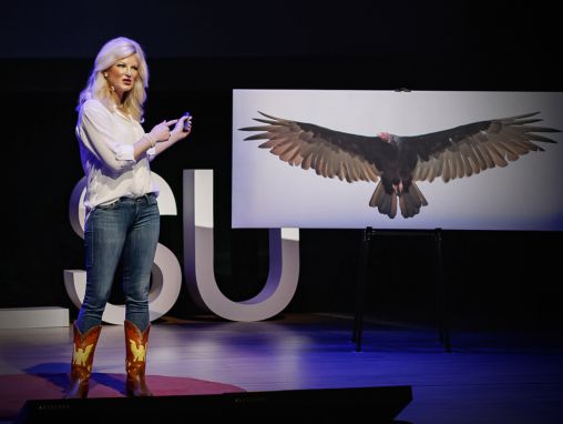 Lauren Pharr: Come gli avvoltoi possono aiutare a risolvere i crimini