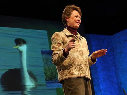 Click to play Janine Benyus: Biomimicry's surprising lessons from nature's engineers