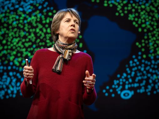 Penny Chisholm: Malinké stvorenia, ktoré potajme poháňajú celú planétu