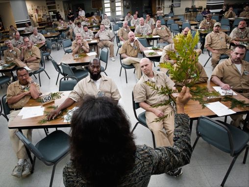 Click to play Den Pačolki (Dan Pacholke): Kako zatvori mogu pomoći zatvorenicima da vode smislene živote