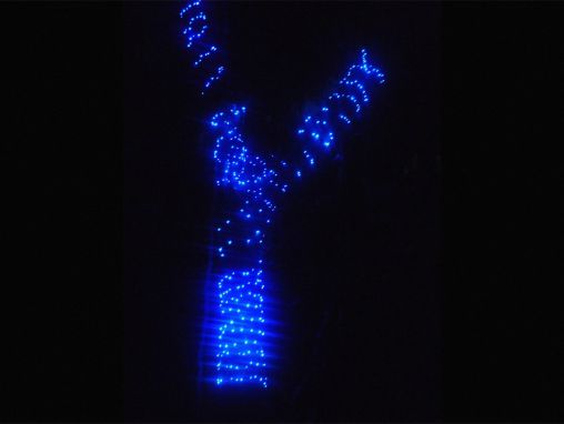 ホゼ・ミゲル・ソコロフ: クリスマスのイルミネーションが、ゲリラを武装解除させるまで