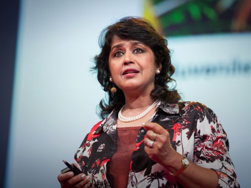 アミーナ・グリブ・ファキム: 目立たぬ植物に秘められた驚くべき神秘性