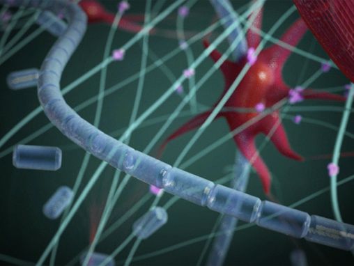 ジョー・ランドリーナ: 一瞬で止血するジェル