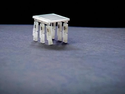 Sara Bergbrejter (Sarah Bergbreiter): Zašto pravim robote veličine zrna pirinča