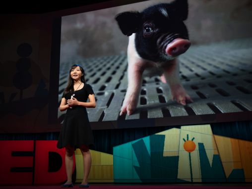 Click to play Luhang Yang: Comment créer un monde où plus personne ne mourra dans l’attente d’une greffe