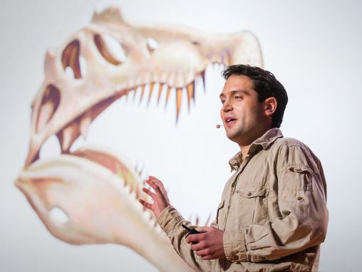 Click to play How we unearthed the spinosaurus