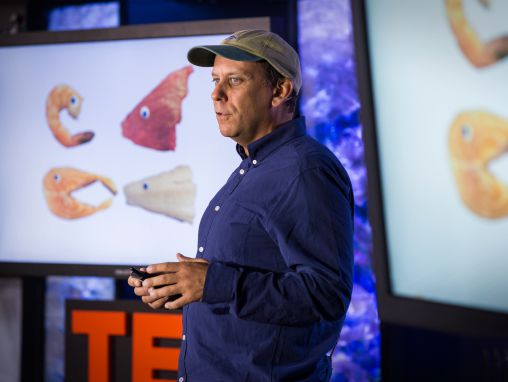 Click to play Paul Greenberg: I quattro pesci di cui ci sovralimentiamo e come potremmo sostituirli.