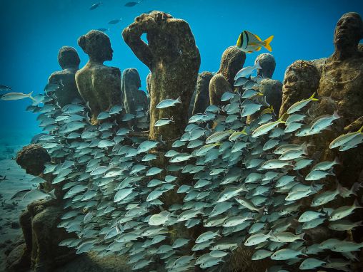 Click to play Jason deCaires Taylor: Un museo sommerso, pieno di vita