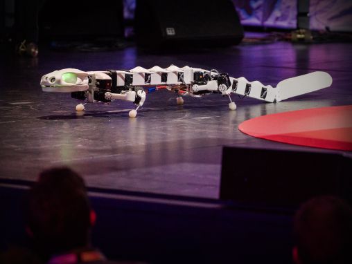 Auke Ijspeert: A robot that runs and swims like a salamander