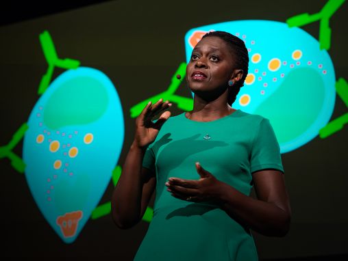 फेथ ओसीयर: बेहतर मलेरिया टीका बनाने की कुंजी।