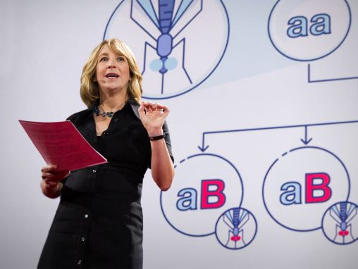 Click to play Jennifer Kahn: La manipulation génétique peut aujourd'hui changer des espèces entières. À jamais.