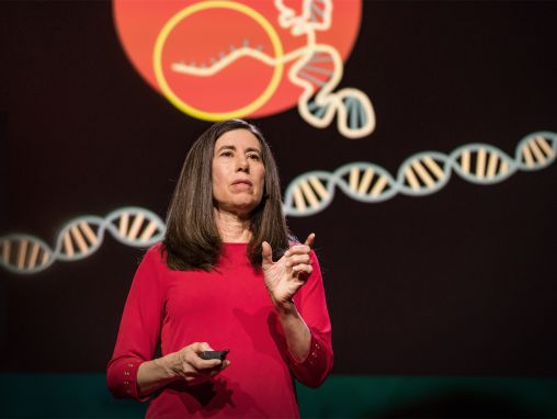 Ellen Jorgensen: Tutto quello che dovete sapere su CRISPR