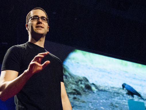 Jošua Klajn o inteligenciji vrana