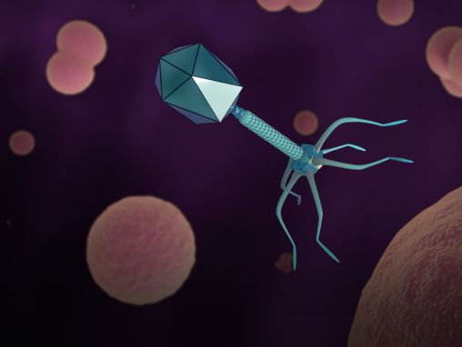 Click to play ألكساندر بلكريدي: كيف لفيروس منسي منذ القِدم أن يساعدنا في حل أزمة المضادات الحيوية؟