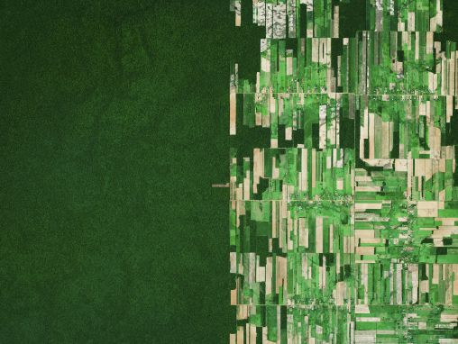 Bendžamins Grants: Sajūtas, vērojot Zemi no kosmosa