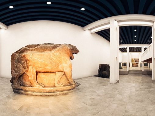 チャンス・コフェナー: あなたの写真がどのように失われた歴史を取り戻すのか