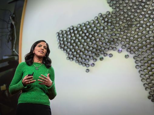 Click to play Radhika Nagpal: Lo que pueden aprender las máquinas inteligentes de un banco de peces