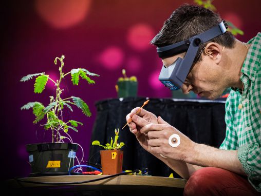 Click to play Greg Gage: Experimentos eléctricos con plantas que cuentan y se comunican