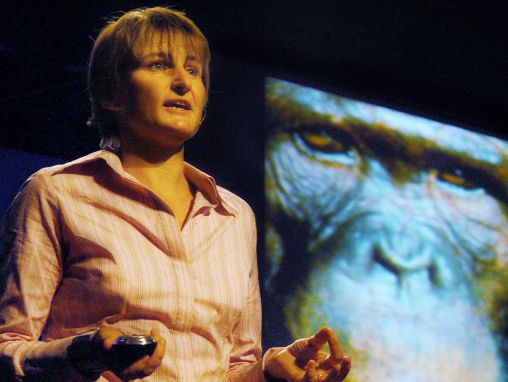 Click to play Louise Leakey à la recherche des origines de l'humanité