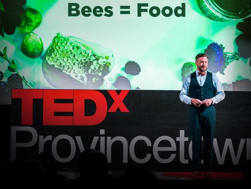 Click to play نوح ويلسون-ريتش: ما الذي يقتل النحل؟ وكيف ننقذه؟