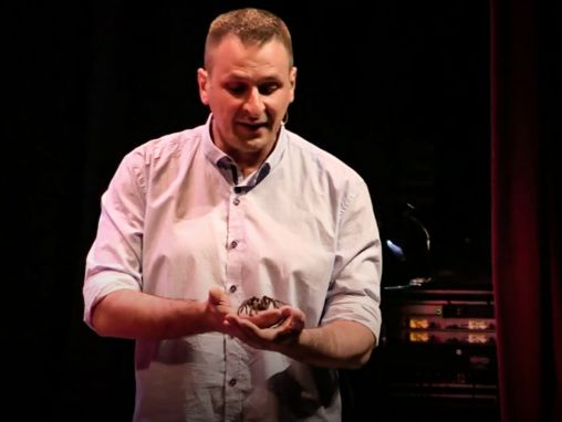 Click to play Michel Dugon: Örümcek zehrinin sırları