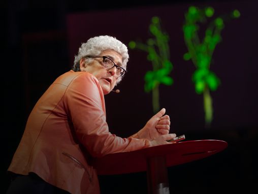 جوان خوري: كيف يمكن لنباتات معزَّزة أن تبطئ من التغير المناخي