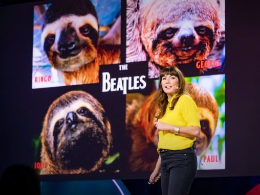 Click to play Lusi Kuk (Lucy Cooke): Lenjivci! Čudesni život najsporijeg sisara na svetu