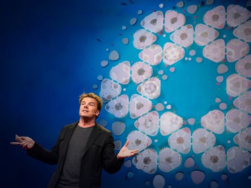 Click to play Bjarke Ingels: Ciudades flotantes, la "Casa LEGO" y otras formas arquitectónicas del futuro