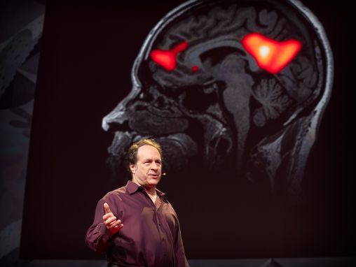Click to play Rick Doblin: El futuro de la psicoterapia psicodélica asistida