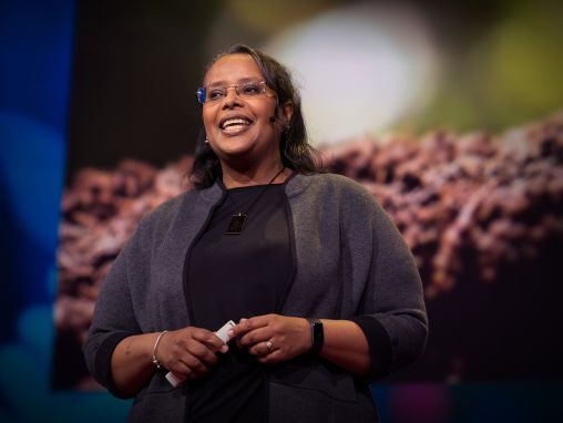 एसमेरेट एसेफॉ बेरहे: एक जलवायु परिवर्तन समाधान जो हमारे पैरों के नीचे सही है