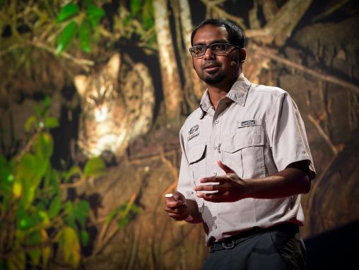 Click to play Ashwin Naidu: La relation entre le chat pêcheur et la protection de la mangrove