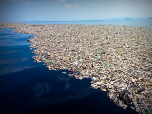Click to play Andrew Forrest: Un plan radical pour mettre un terme aux déchets plastiques