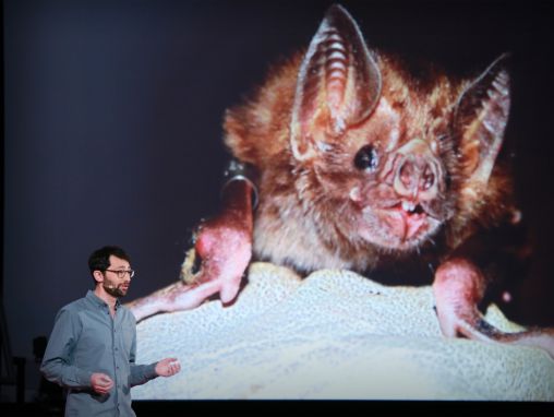 丹尼尔·斯特里克: 对抗流行病是如何受到吸血蝠疫苗接种的启发？