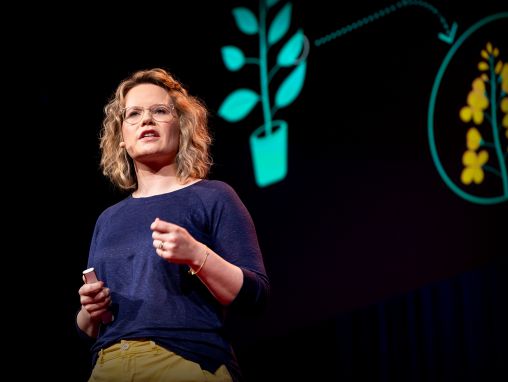 Click to play Sara-Jane Dunn: La próxima revolución del software: programar células biológicas