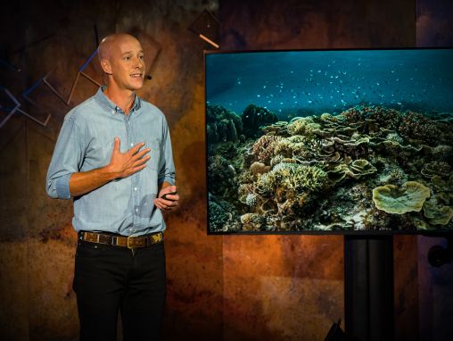 Click to play Alasdair Harris: Cómo un puñado de pueblos pesqueros impulsó una revolución en la conservación marina