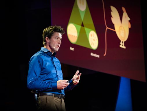 Leon Marchal: The urgent case for antibiotic-free animals