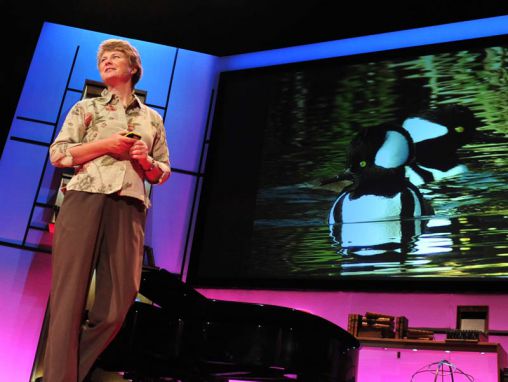 Click to play Janine Benyus: le biomimétisme en action