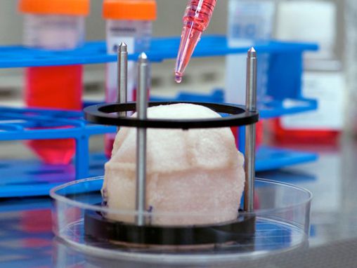 Anthony Atala pri la kreskigo de novaj organoj