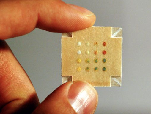 조지 화이트사이드: 우표 한 장 크기의 실험실