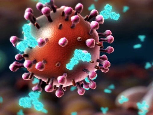 Click to play Seth Berkley: HIV y gripe, la estrategia de la vacuna