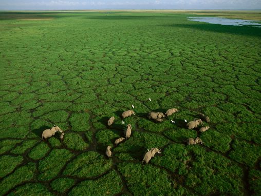 George Steinmetz: Photos of Africa, taken from a flying lawn chair